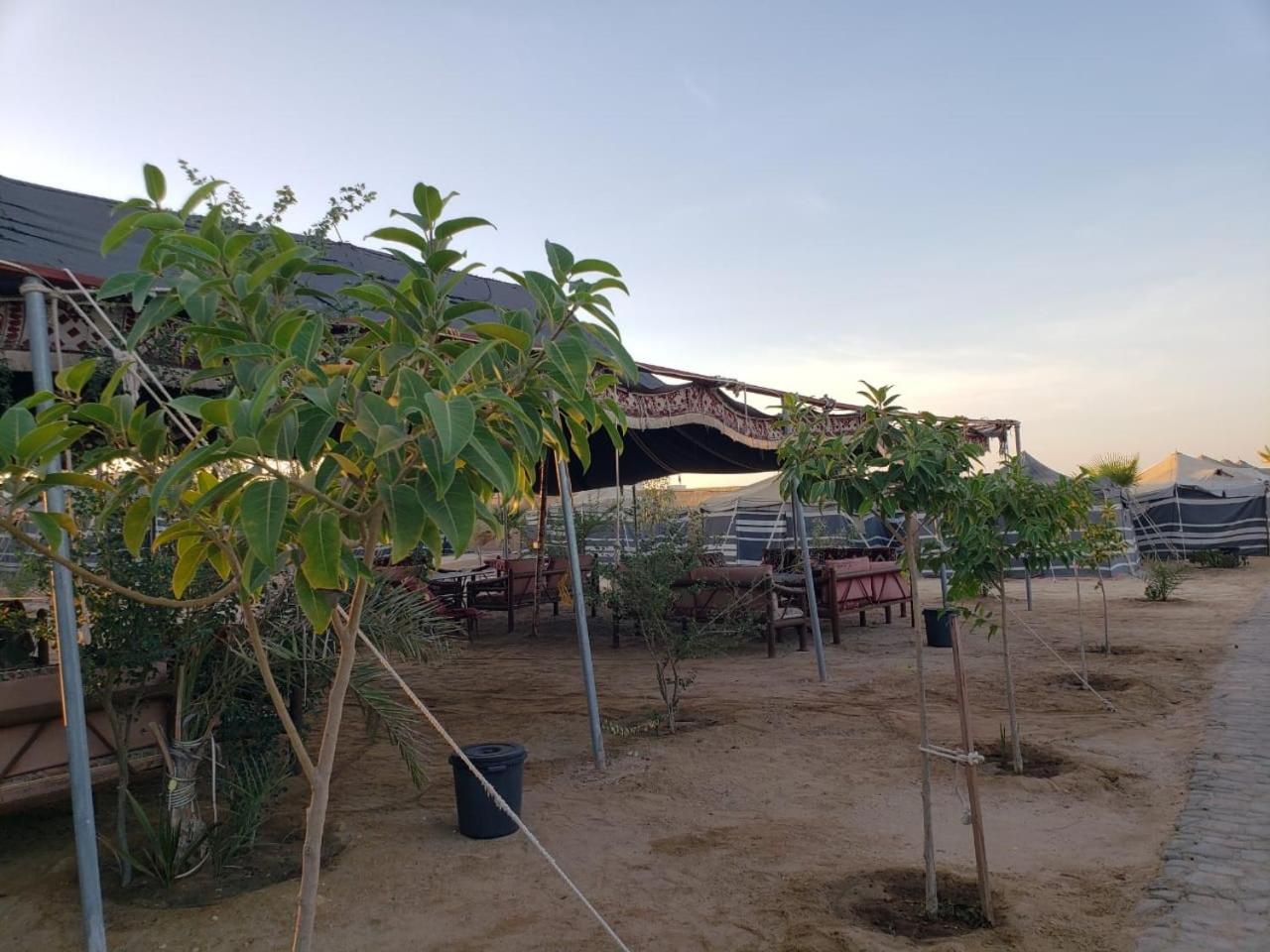 Royal Tours Permanent Camp Otel Umm Lajj Dış mekan fotoğraf