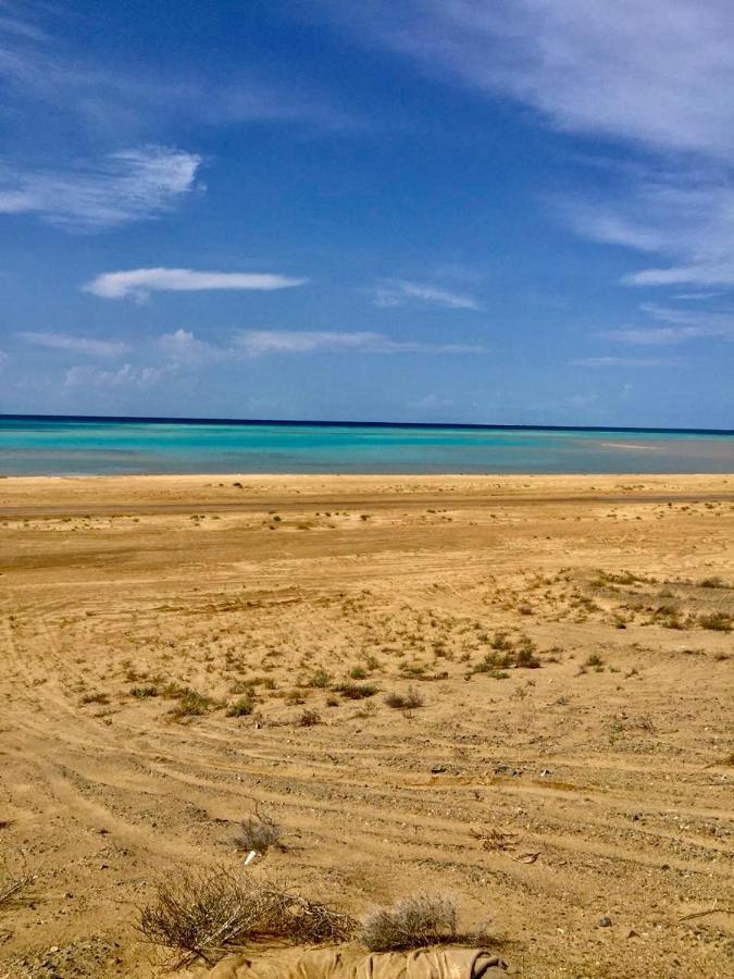 Royal Tours Permanent Camp Otel Umm Lajj Dış mekan fotoğraf
